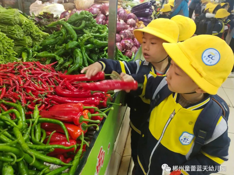 童蕾藍(lán)天幼兒園體驗(yàn)買(mǎi)菜