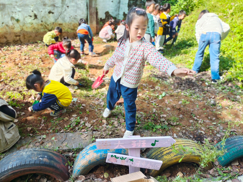 蘇仙區(qū)第二十五幼兒園師生風(fēng)采