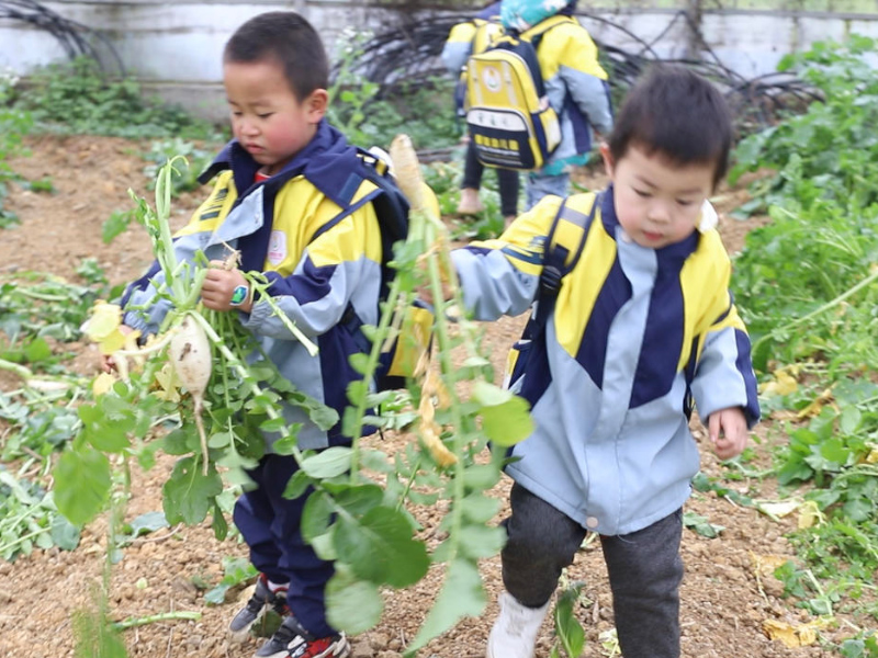 北湖區(qū)華嬰愛蕊幼兒園師生風(fēng)采