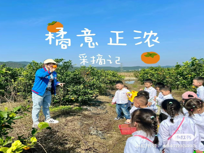 郴州海亮小太陽幼兒園師生風采